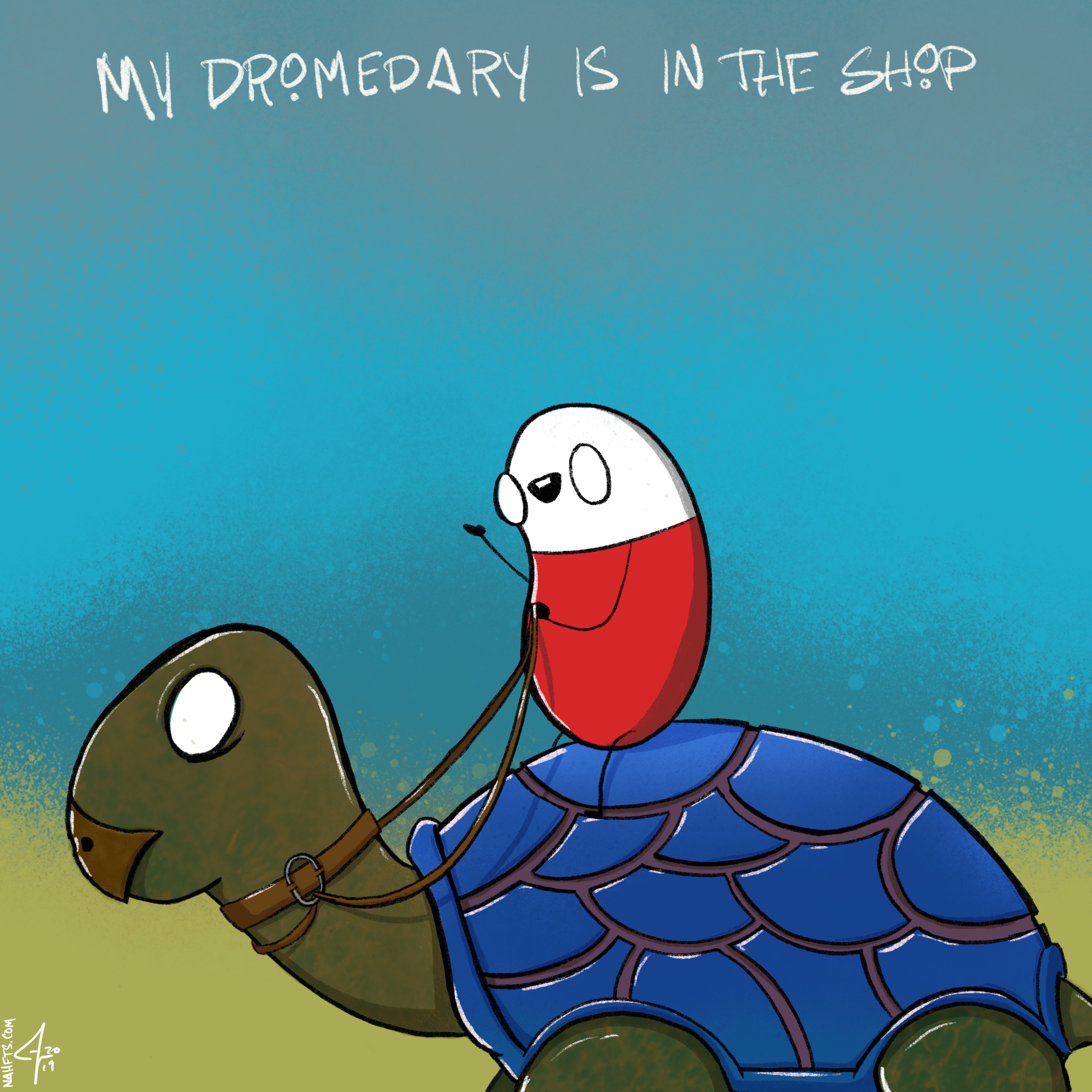 My dromedary is in the shop